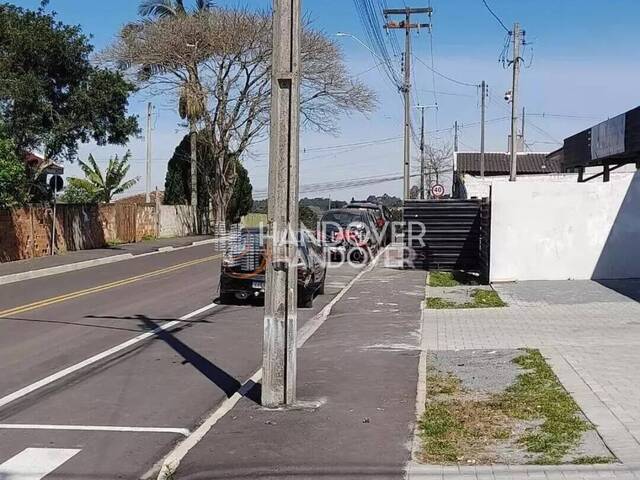 #41 - Ponto Comercial para Locação em Campina Grande do Sul - PR - 3