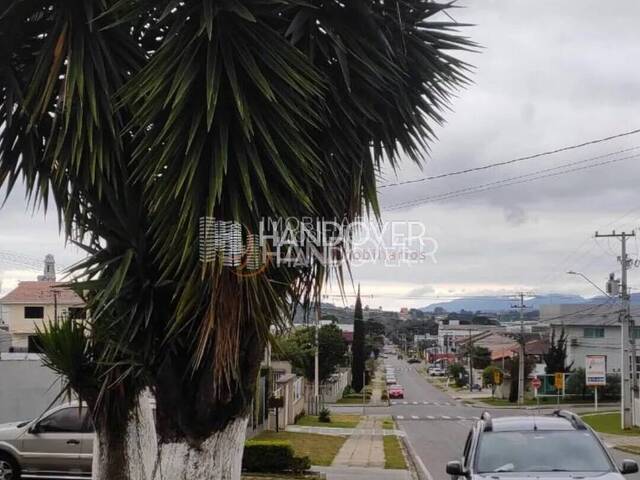 #42 - Sala para Locação em Campina Grande do Sul - PR - 3