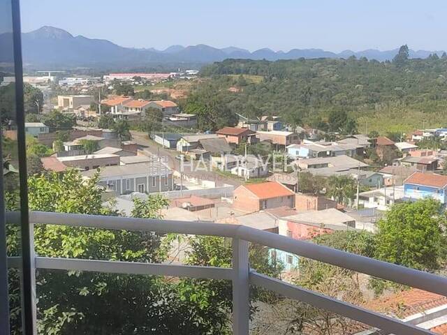Apartamento para Venda em Campina Grande do Sul - 5