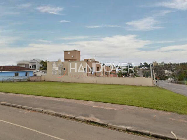 #254 - Terreno para Venda em Campina Grande do Sul - PR - 2