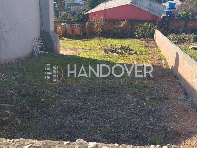 #285 - Terreno para Venda em Quatro Barras - PR - 3