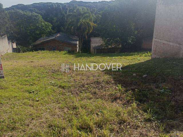 #287 - Terreno para Venda em Quatro Barras - PR - 2