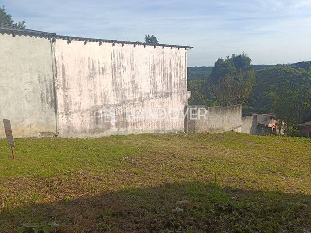 #287 - Terreno para Venda em Quatro Barras - PR - 3