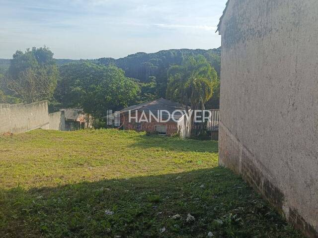 Terreno para Venda em Quatro Barras - 4