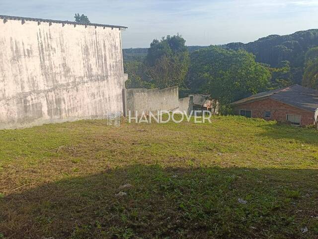 Terreno para Venda em Quatro Barras - 5