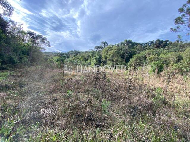 #296 - Chácara para Venda em Campina Grande do Sul - PR - 2