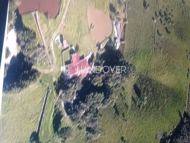 #301 - Chácara para Venda em Campina Grande do Sul - PR - 3