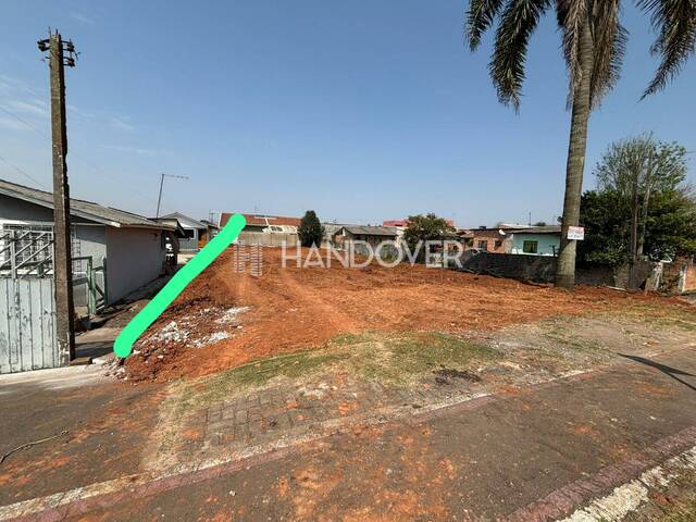 #163 - Terreno para Venda em Campina Grande do Sul - PR - 3