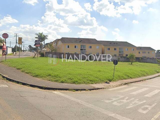 #325 - Terreno para Venda em Campina Grande do Sul - PR - 3